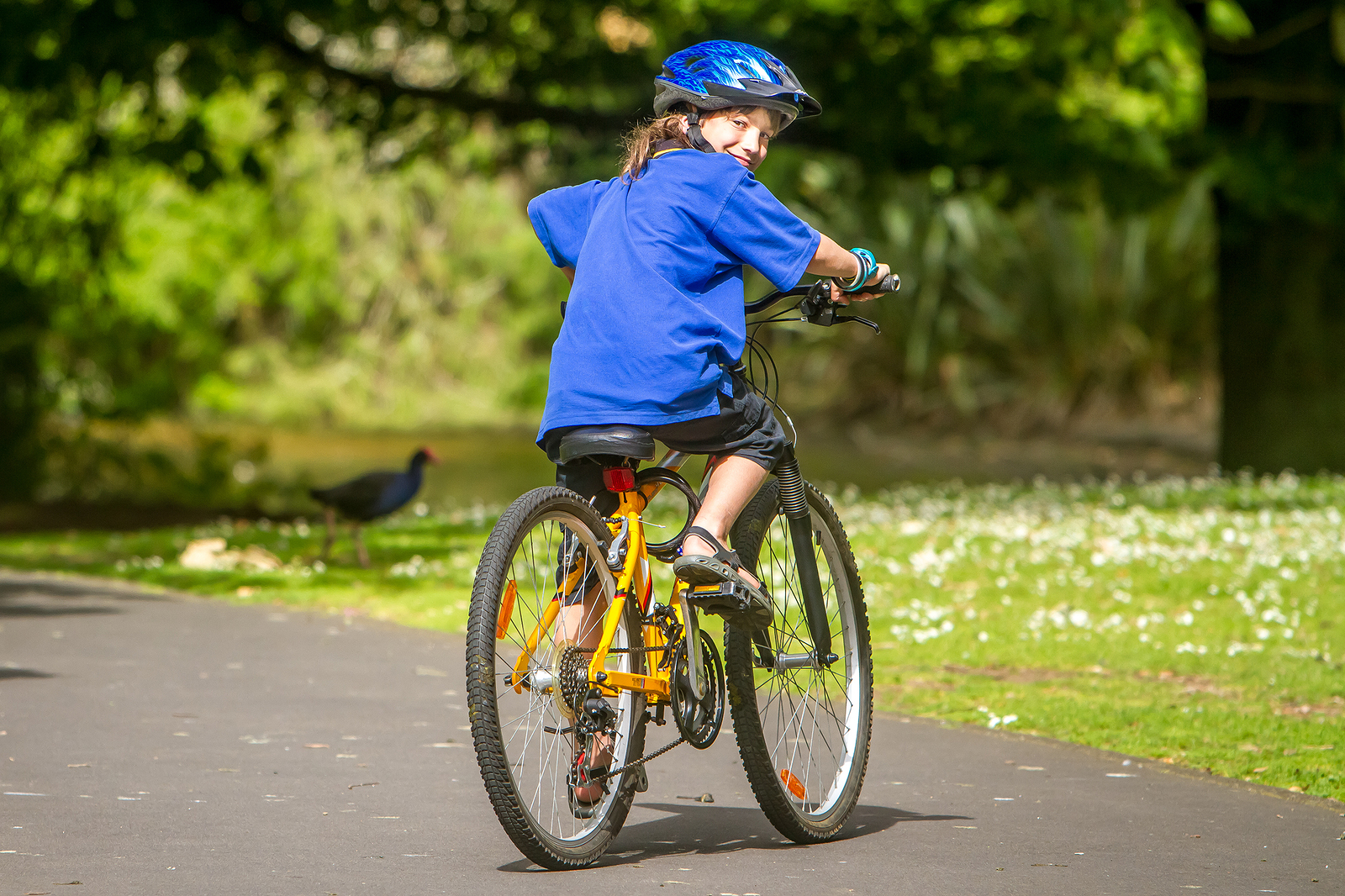 cycling