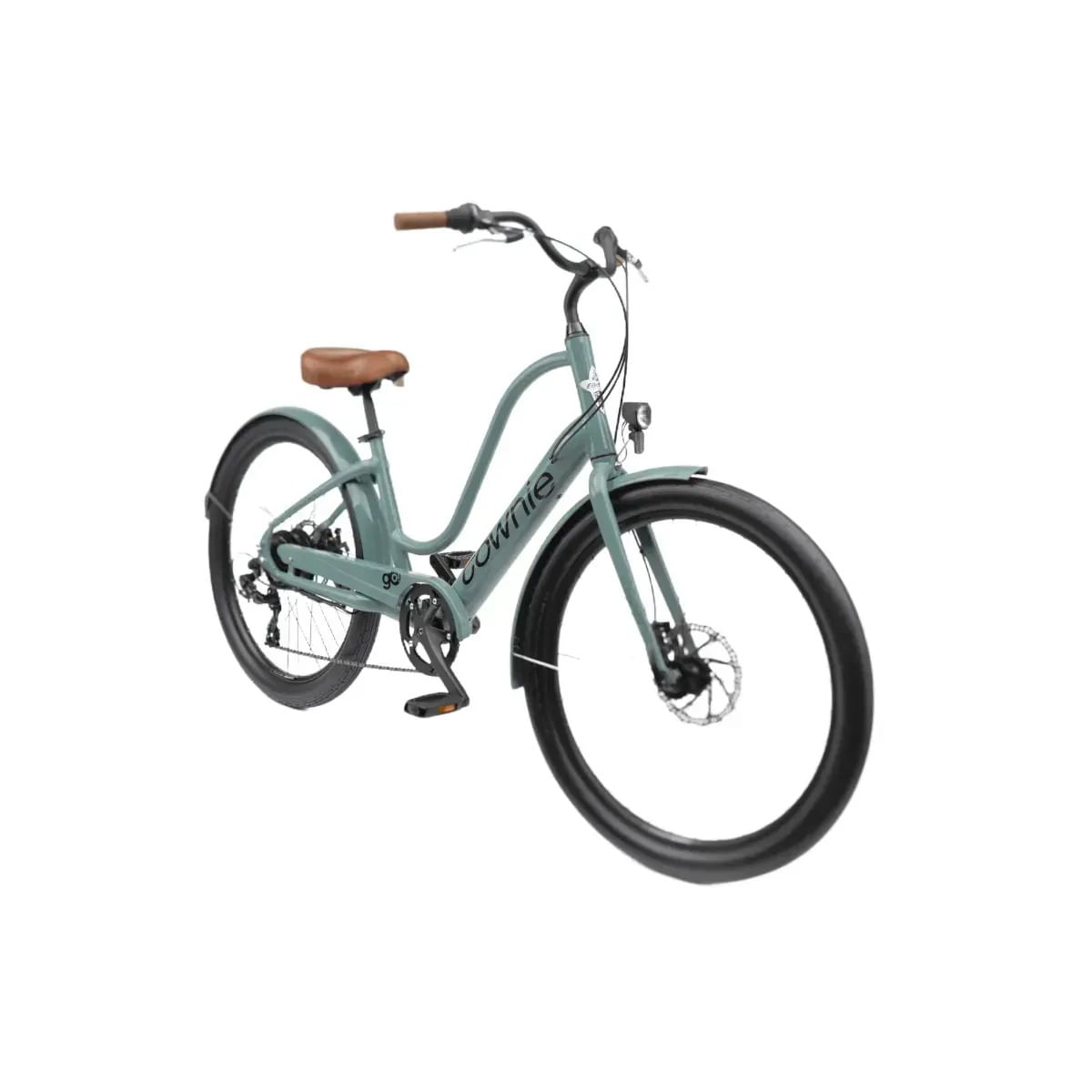 Townie bicycle